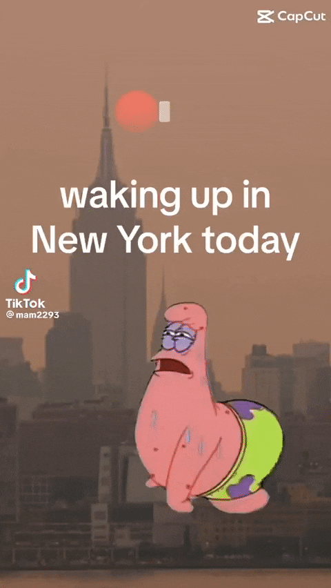 网友戏称今早起床后在纽约亲：狂咳中
