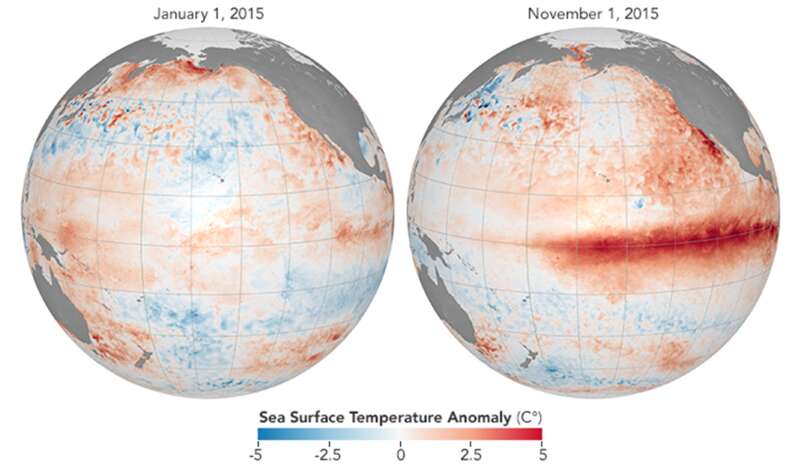 厄尔尼诺影响下太平洋海水表面温度异常